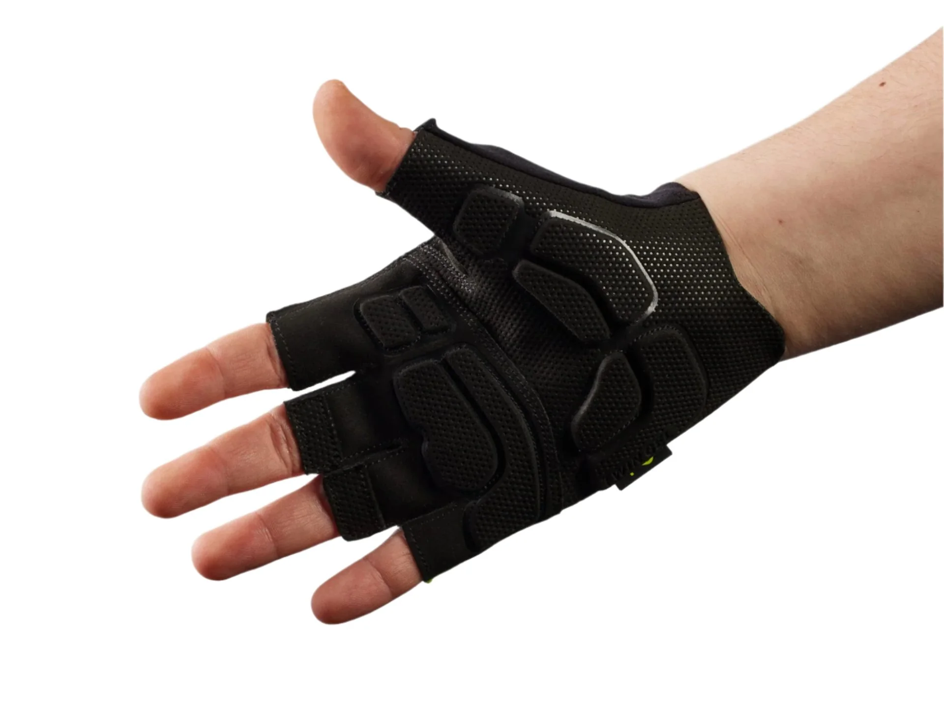 Thumb 2